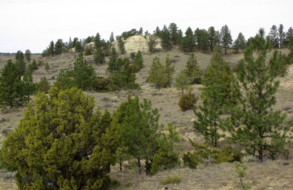 3808 Moon Creek Road, Miles City MT 59301