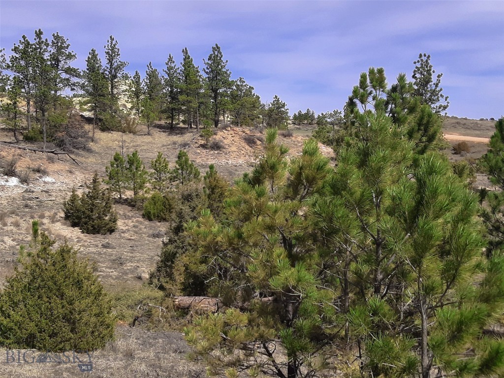 3808 Moon Creek Road, Miles City MT 59301