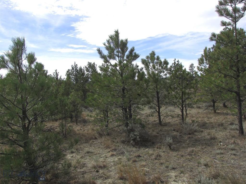 3808 Moon Creek Road, Miles City MT 59301