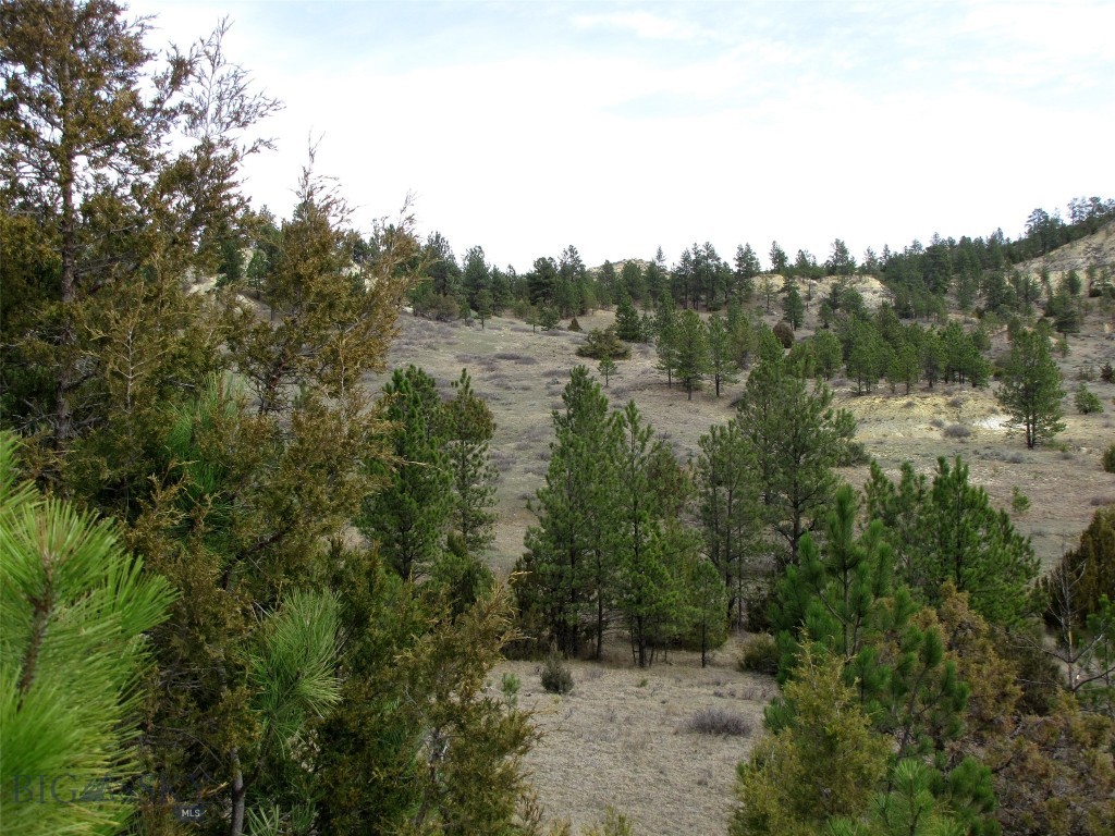 3808 Moon Creek Road, Miles City MT 59301