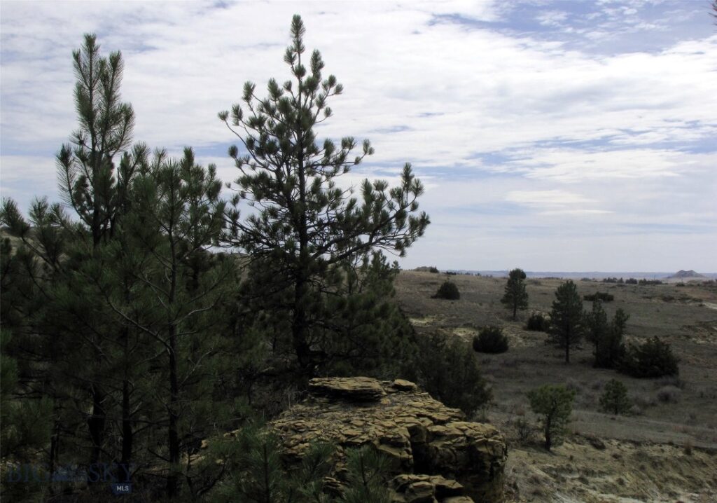 3808 Moon Creek Road, Miles City MT 59301