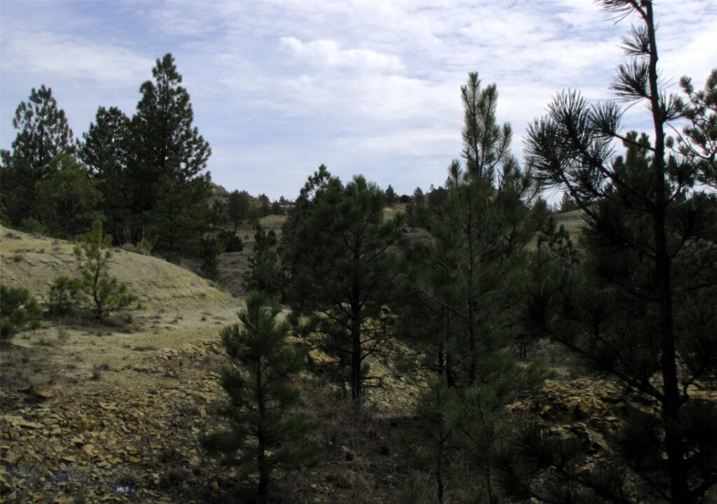 3808 Moon Creek Road, Miles City MT 59301