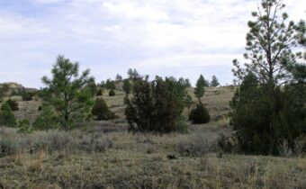 3808 Moon Creek Road, Miles City MT 59301