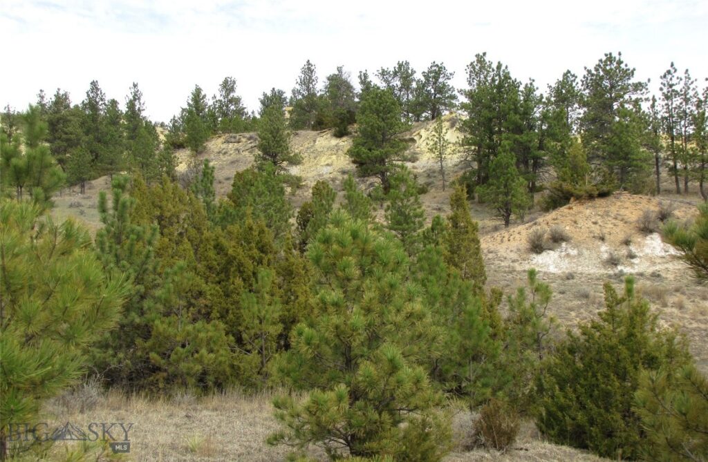 3808 Moon Creek Road, Miles City MT 59301