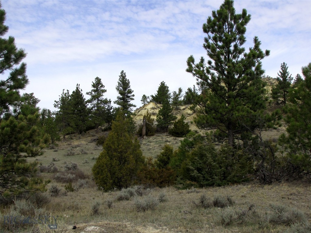 3808 Moon Creek Road, Miles City MT 59301