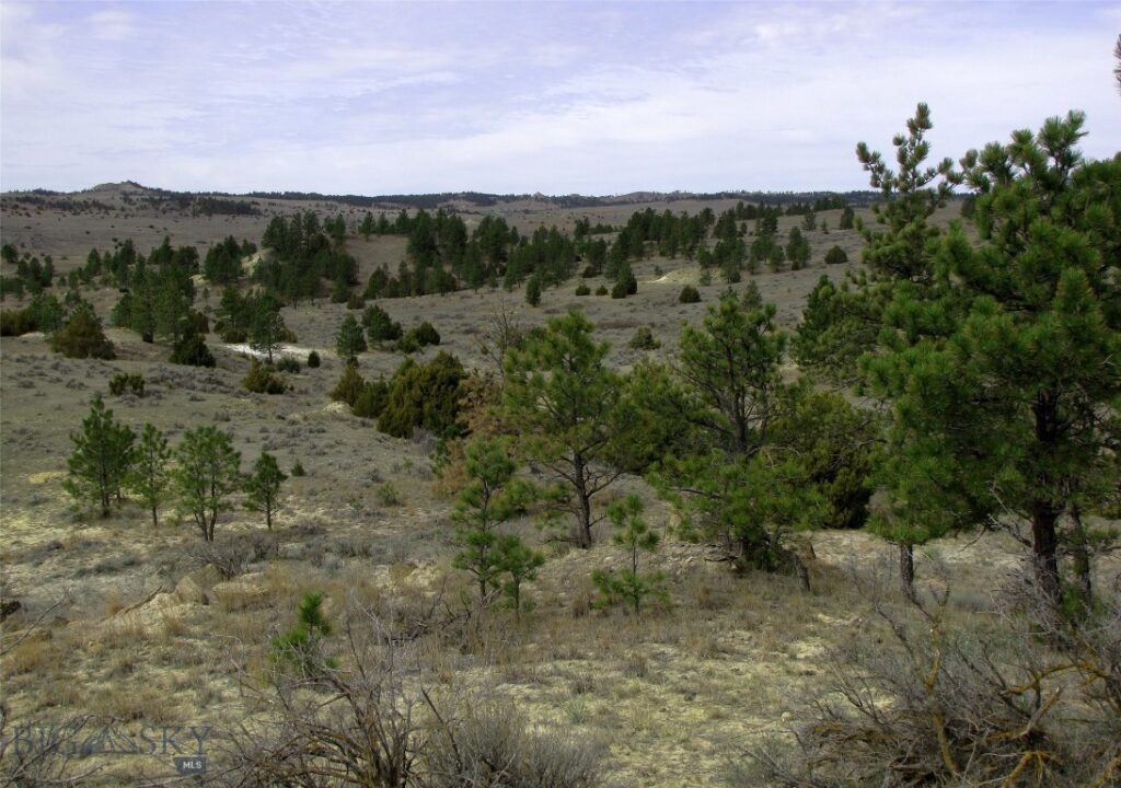 3808 Moon Creek Road, Miles City MT 59301