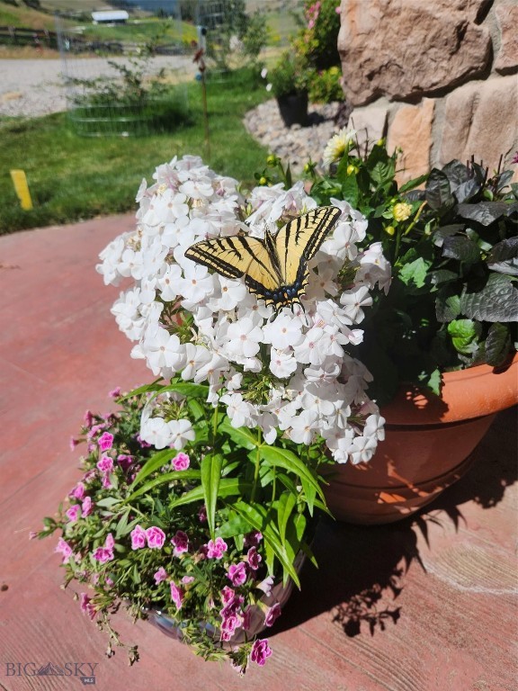 39 Gunsight, Plains MT 59859