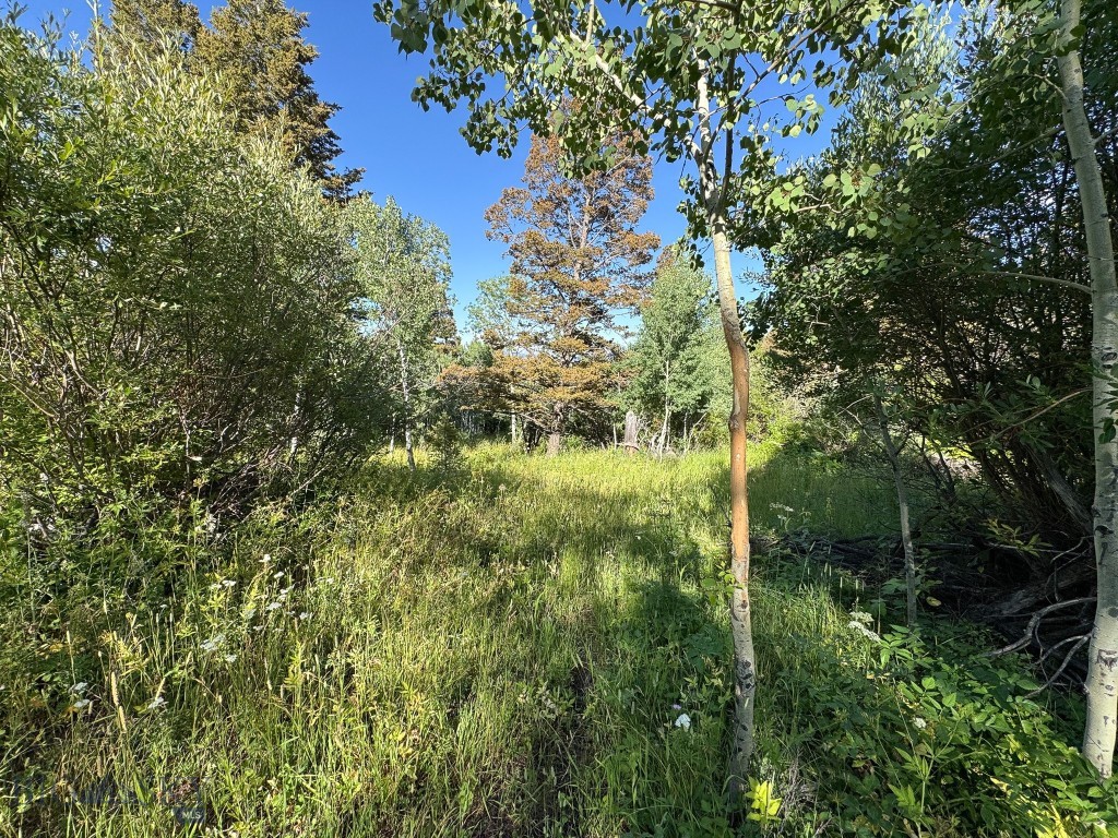 4 Pine Hill Drive, White Sulphur Springs MT 59645