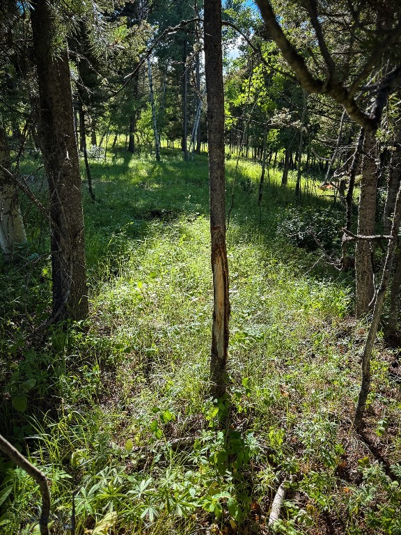 4 Pine Hill Drive, White Sulphur Springs MT 59645