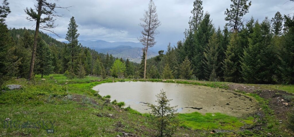 4 Tract, Bull Elk, Drummond MT 59832