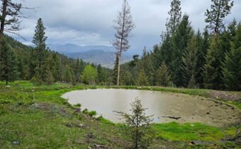 4 Tract, Bull Elk, Drummond MT 59832
