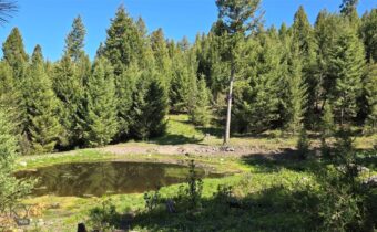 4 Tract, Bull Elk, Drummond MT 59832
