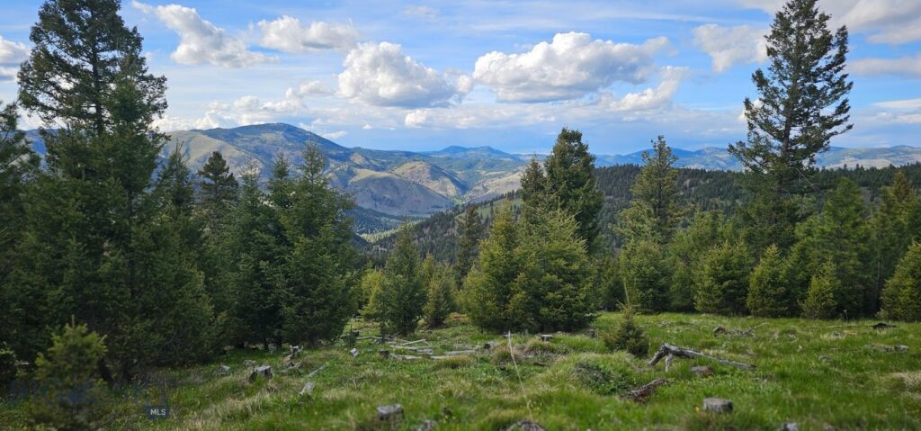 4 Tract, Bull Elk, Drummond MT 59832