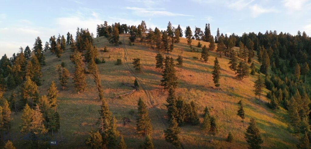 4 Tract, Bull Elk, Drummond MT 59832