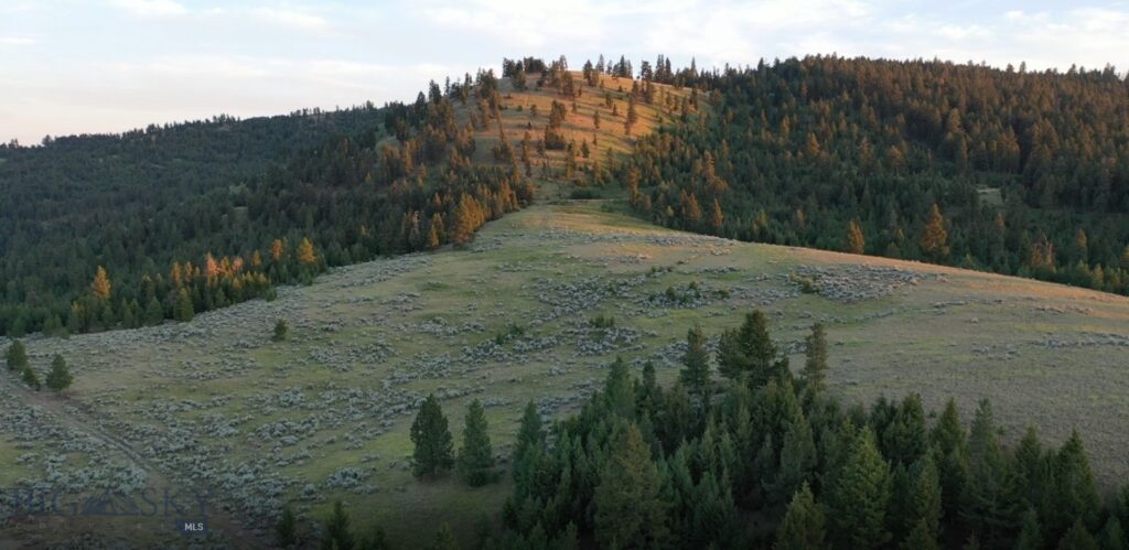 4 Tract, Bull Elk, Drummond MT 59832