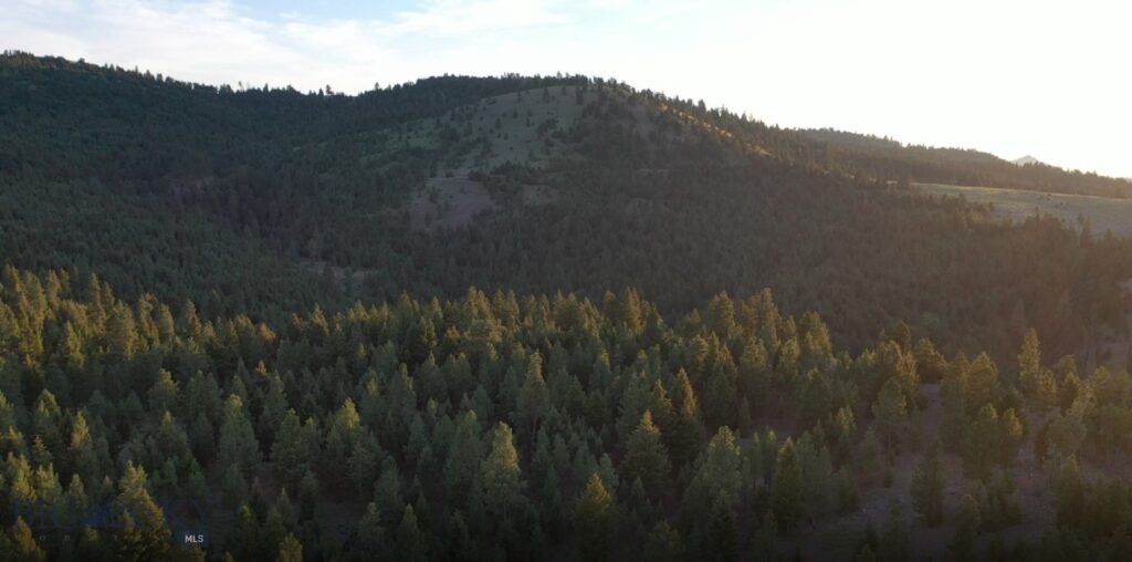 4 Tract, Bull Elk, Drummond MT 59832