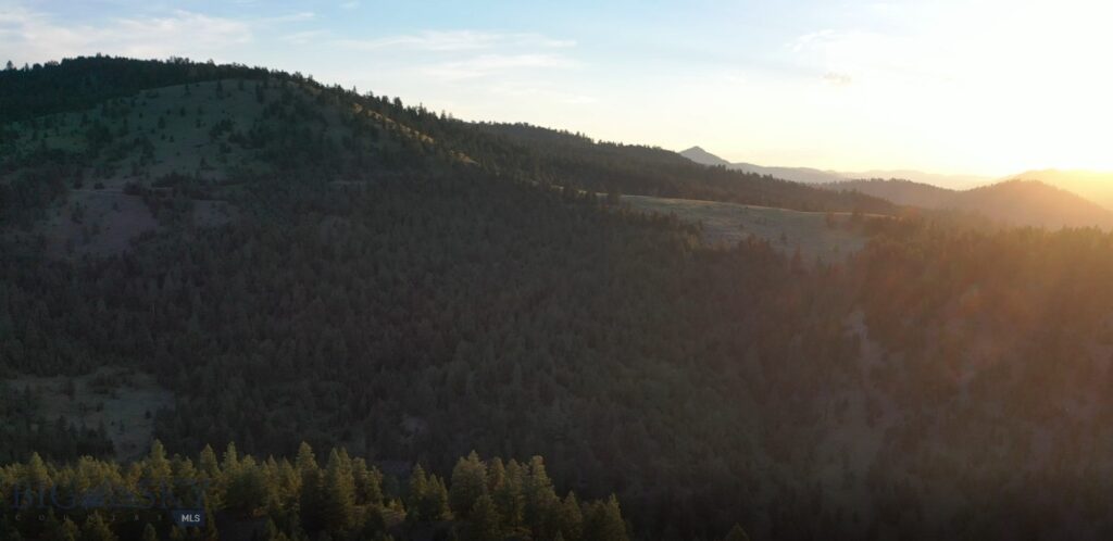 4 Tract, Bull Elk, Drummond MT 59832