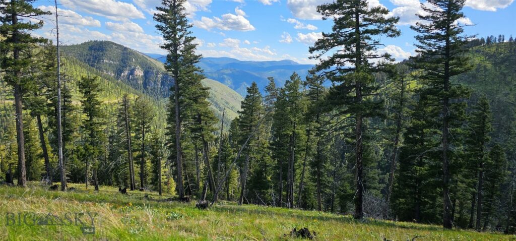 4 Tract Garnet Range, Drummond MT 59832