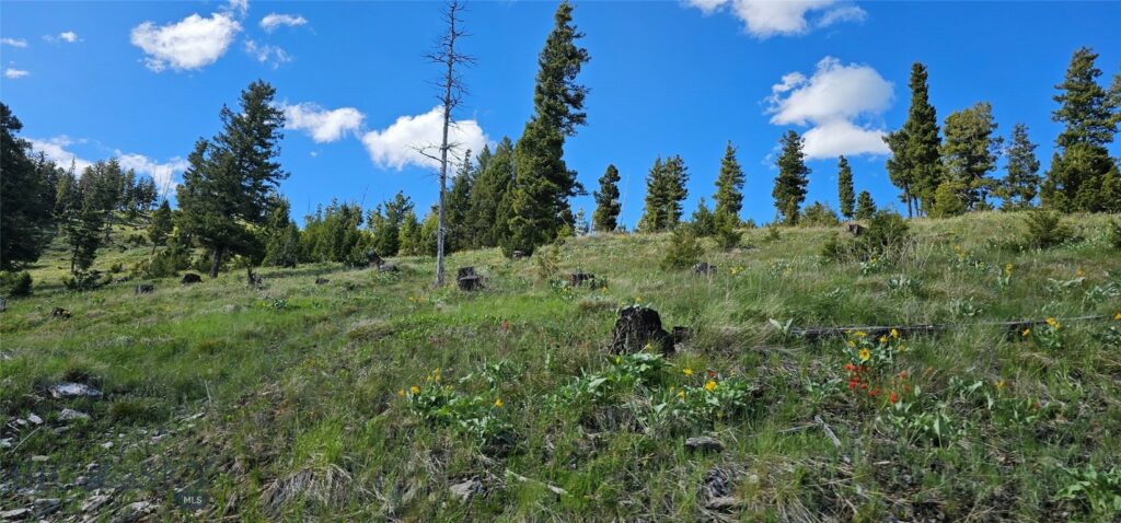 4 Tract Garnet Range, Drummond MT 59832