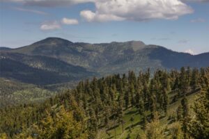 4 Tract Garnet Range