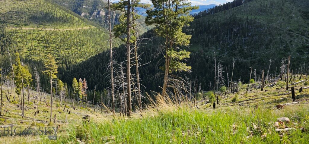 4 Tract Garnet Range, Drummond MT 59832