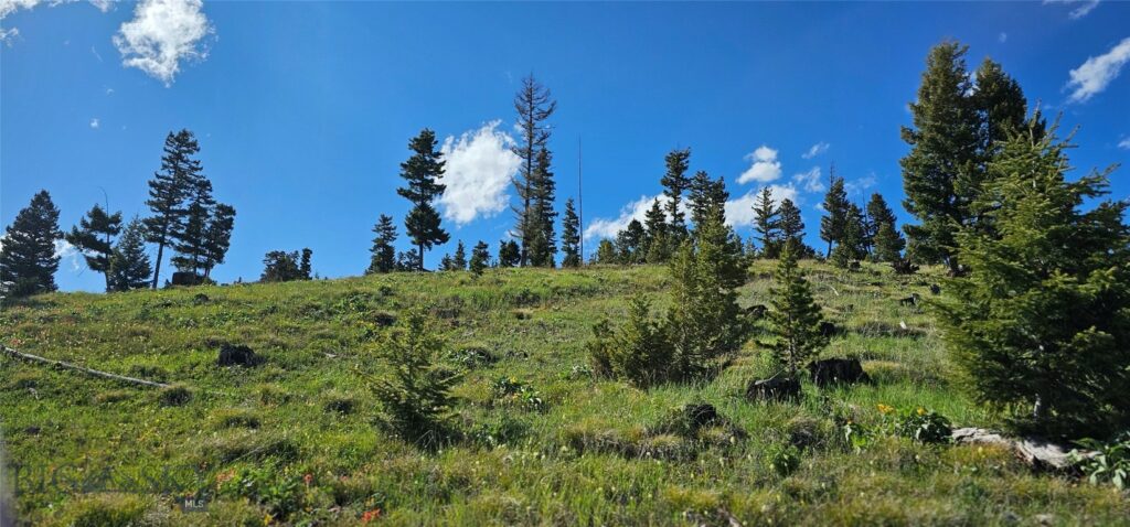 4 Tract Garnet Range, Drummond MT 59832