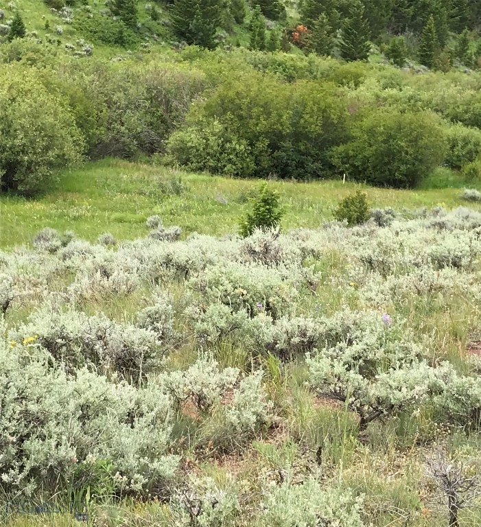 40 Mike Day Drive, White Sulphur Springs MT 59645