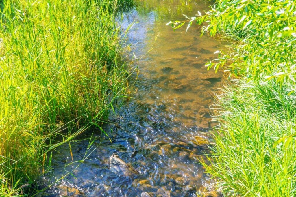 4040 Nelson Road, Belgrade MT 59714