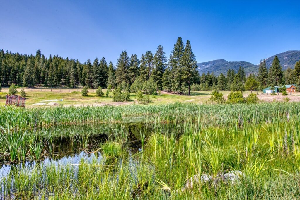 406 Chief Joseph Trail, Darby MT 59829