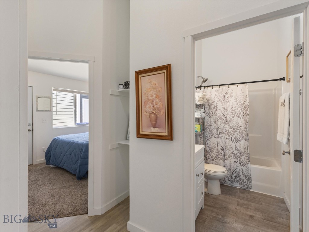 407 Brookline Street, Livingston MT 59047