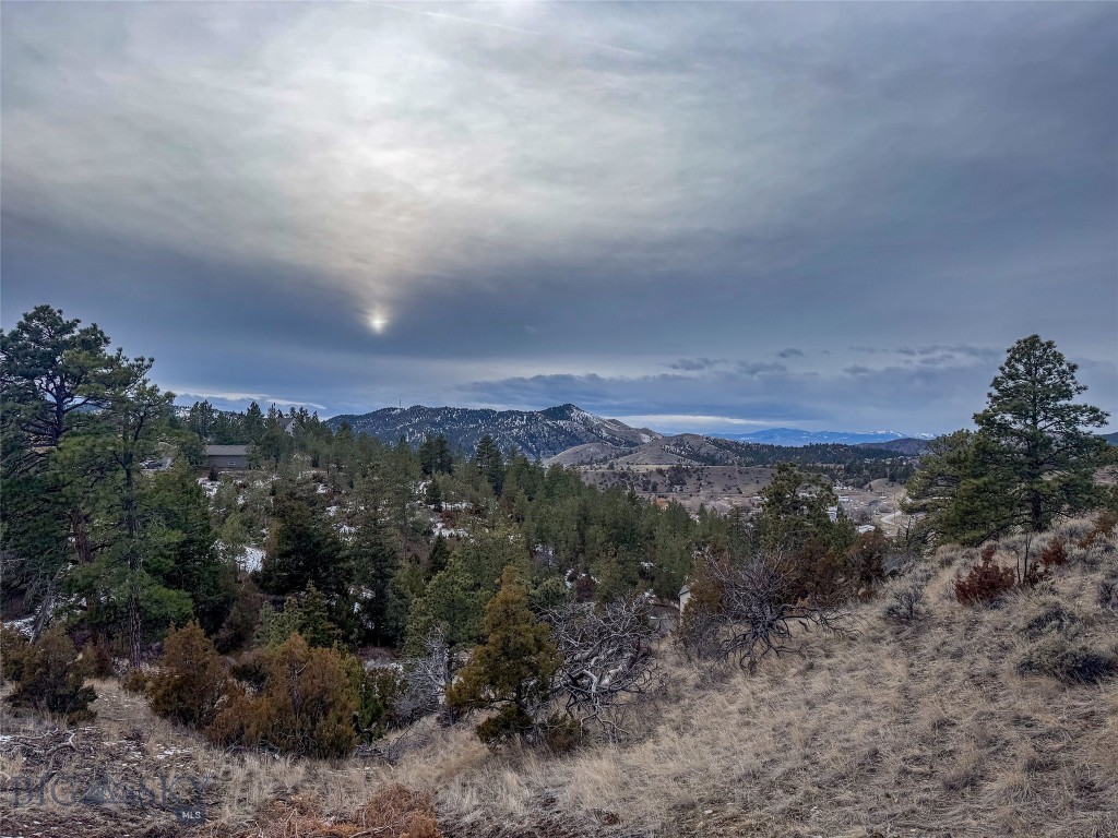 4080 Water Dance, Helena MT 59602