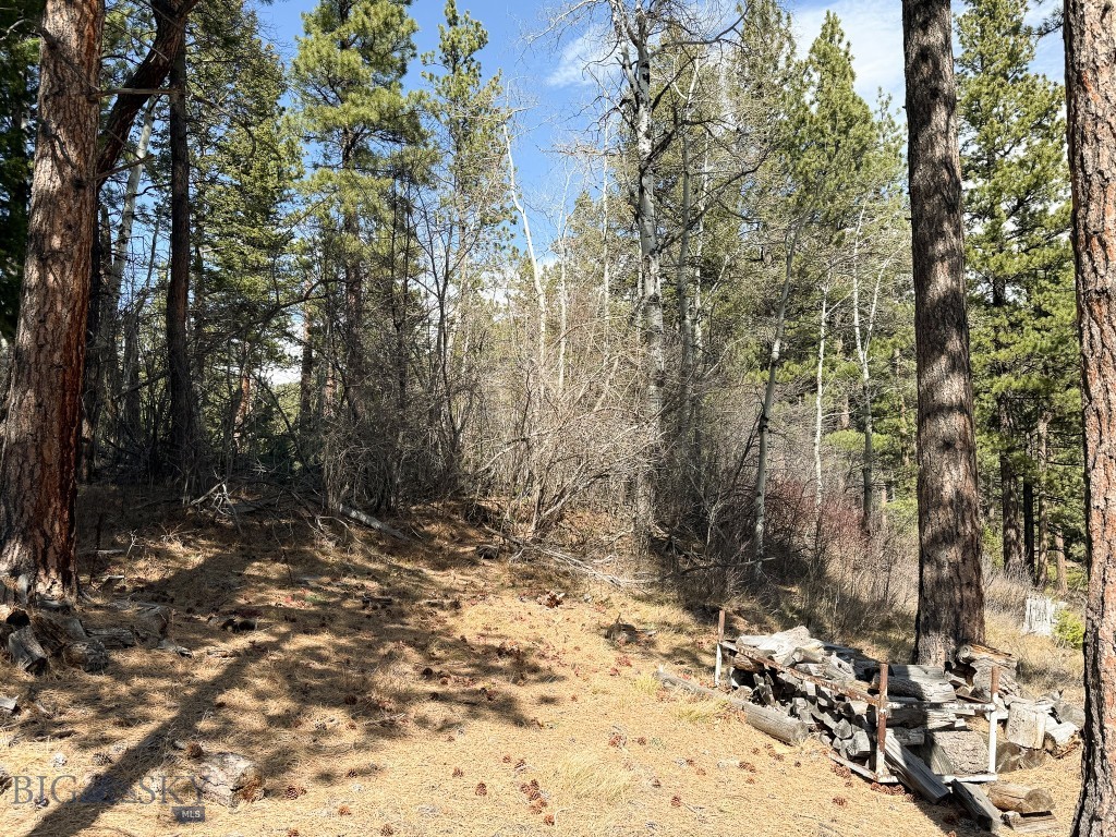 4220 Denton Gulch Road, Wolf Creek MT 59648