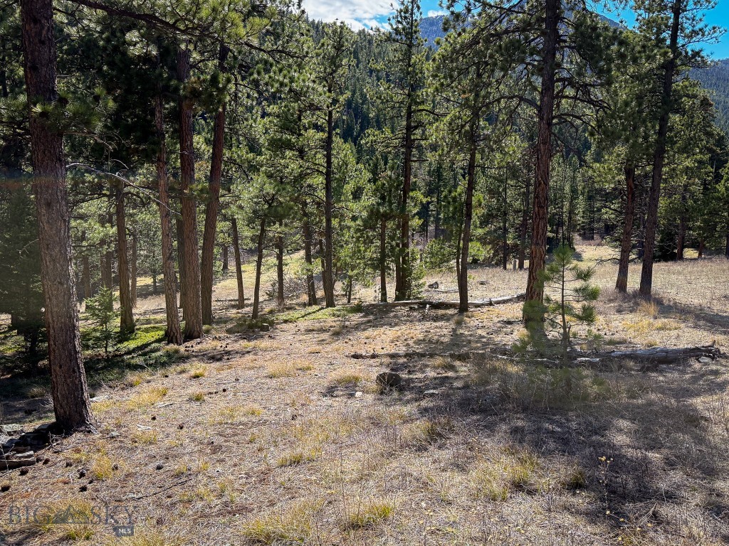 4220 Denton Gulch Road, Wolf Creek MT 59648
