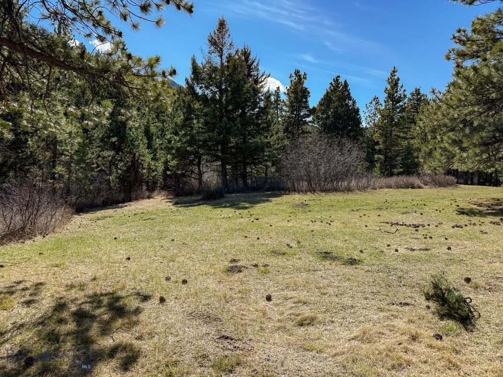 4220 Denton Gulch Road, Wolf Creek MT 59648