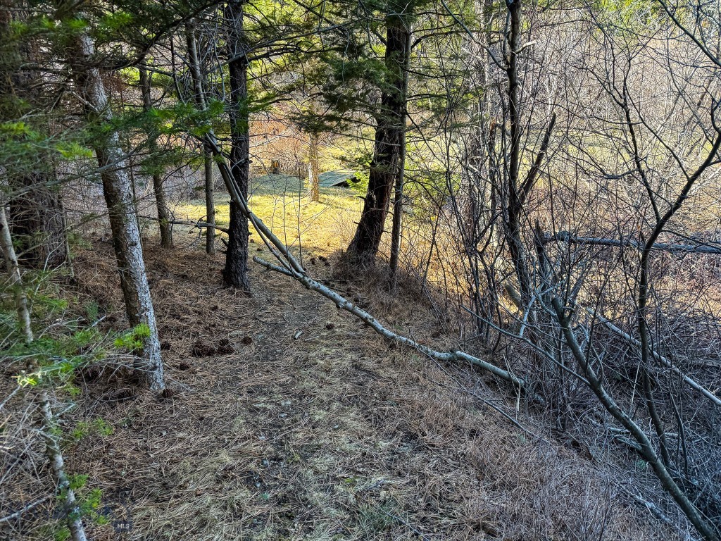 4220 Denton Gulch Road, Wolf Creek MT 59648
