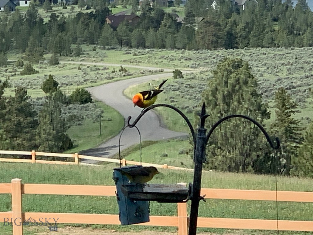 4220 Sunset Ridge Drive, Helena MT 59602