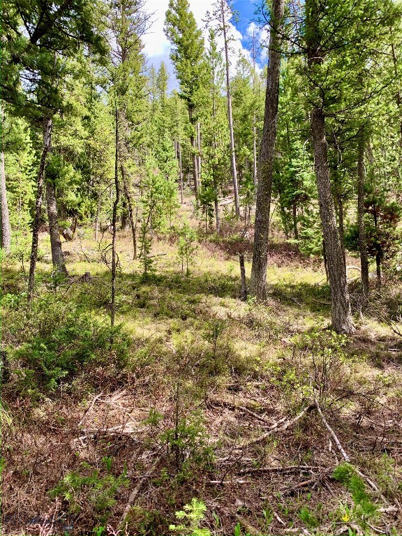 4256 Mountain View Drive, Island Park MT 83429