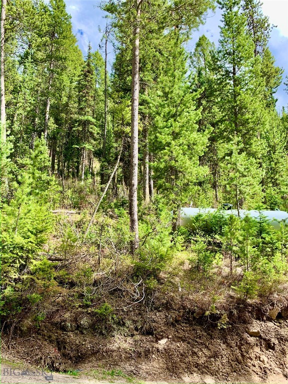 4256 Mountain View Drive, Island Park MT 83429