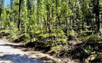 4256 Mountain View Drive, Island Park MT 83429