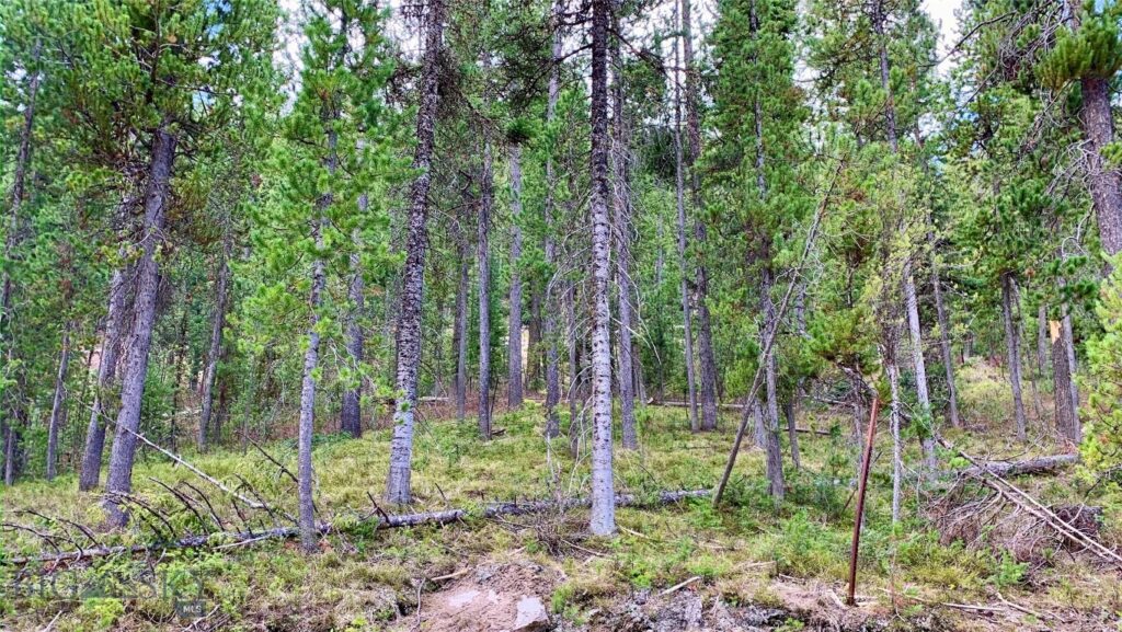 4256 Mountain View Drive, Island Park MT 83429