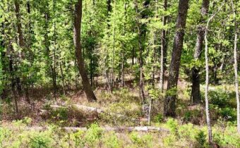 4256 Mountain View Drive, Island Park MT 83429