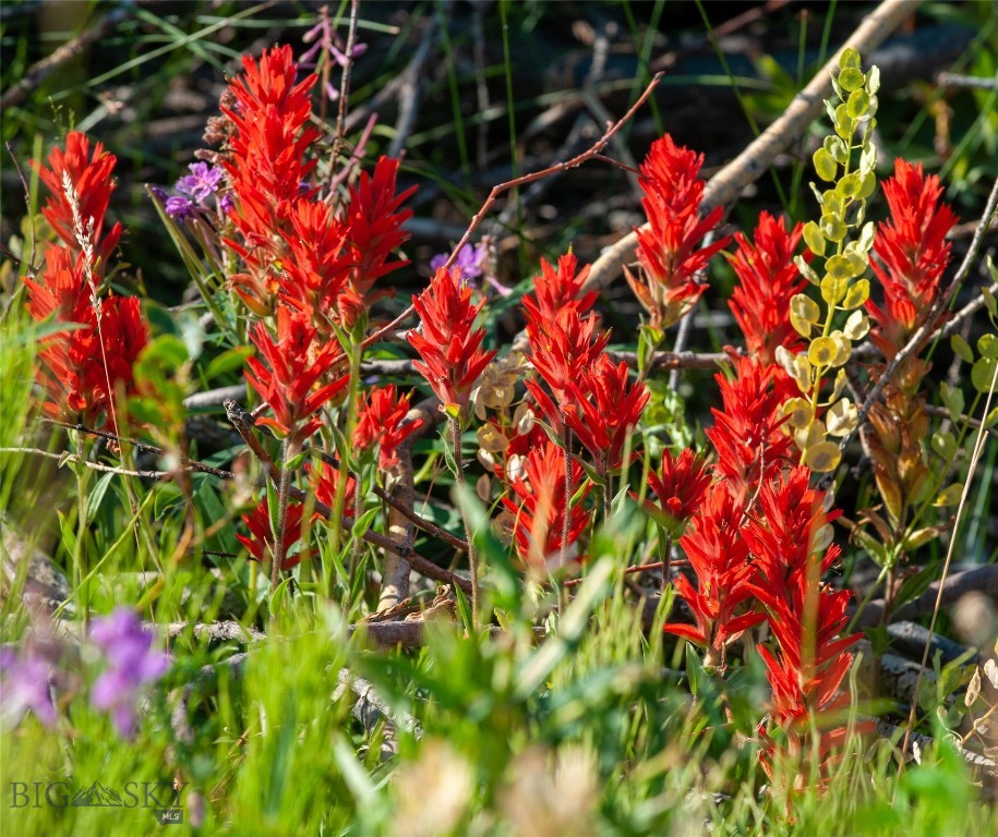 43615 MT Highway 278, Jackson MT 59736