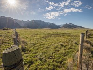 440 MT Highway 87