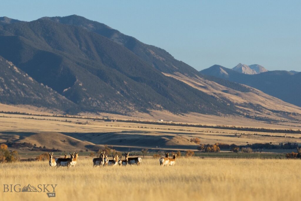 450 Loomis Way, Ennis MT 59729