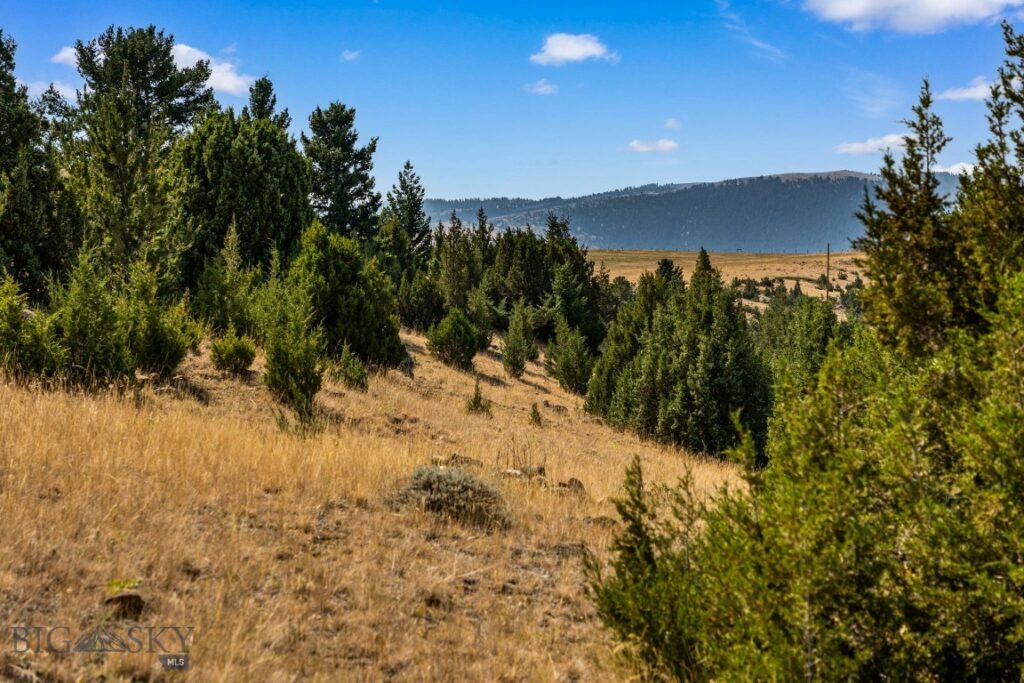 474 Johnson Road, Pony MT 59747