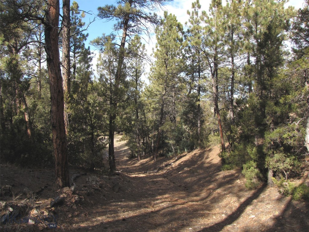 4829 Moon Creek Road, MT 59301