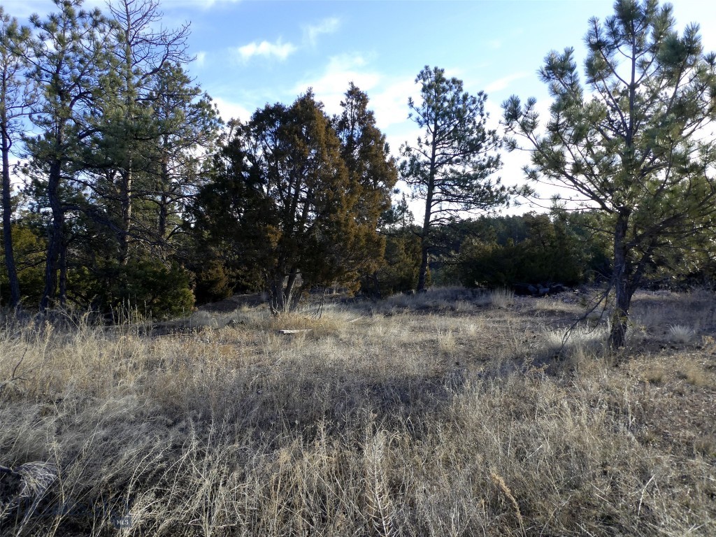 4829 Moon Creek Road, MT 59301