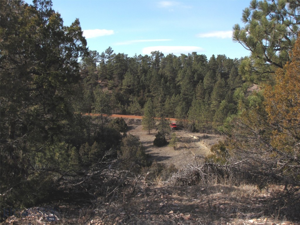 4829 Moon Creek Road, MT 59301