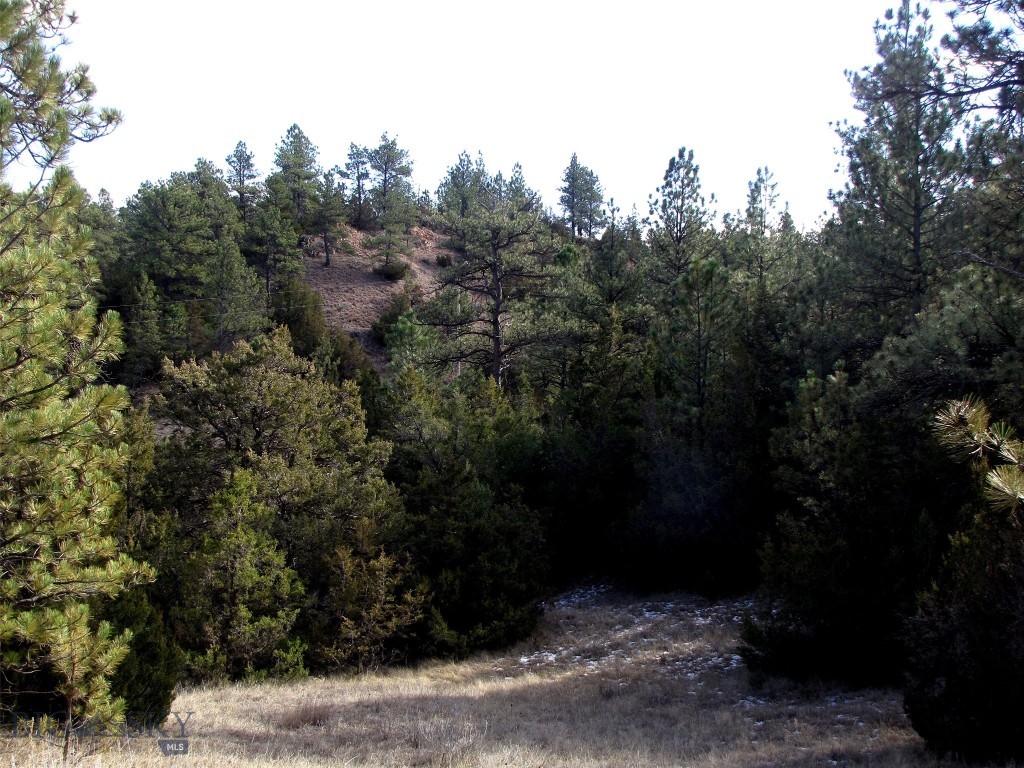 4829 Moon Creek Road, MT 59301