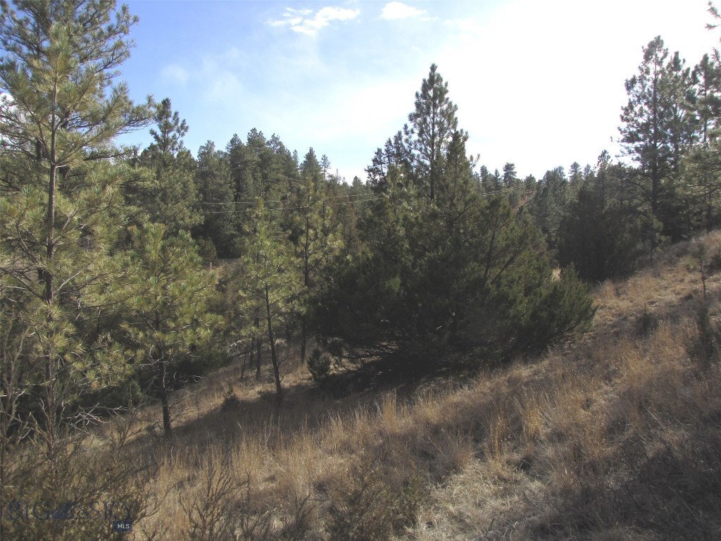 4829 Moon Creek Road, MT 59301